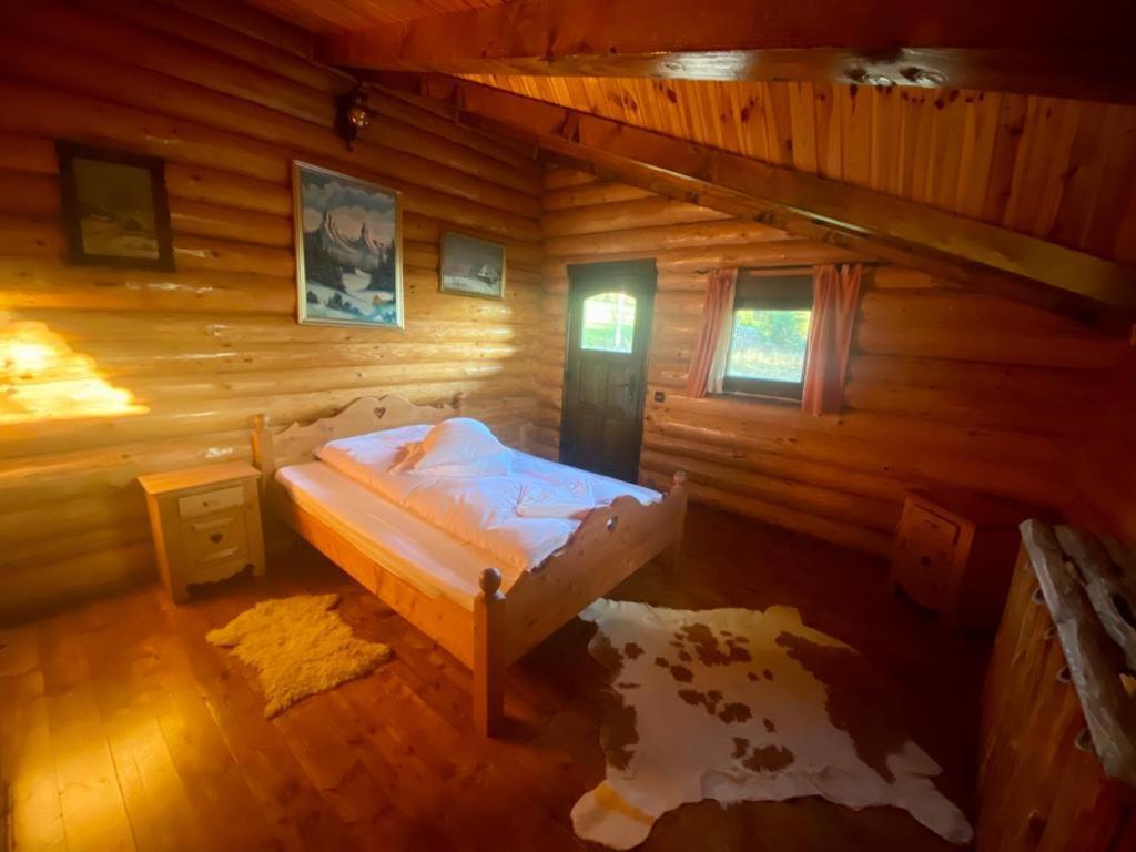 Cabana Vanatorului Risnov Bagian luar foto