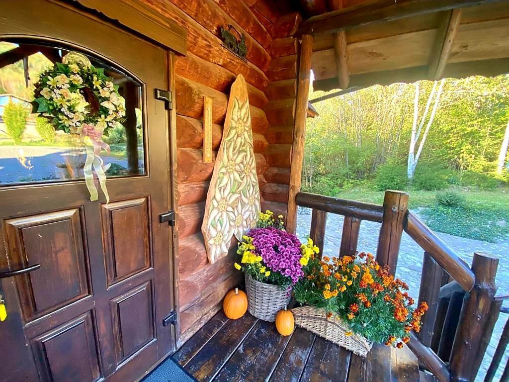 Cabana Vanatorului Risnov Bagian luar foto