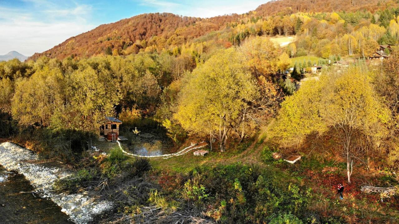 Cabana Vanatorului Risnov Bagian luar foto
