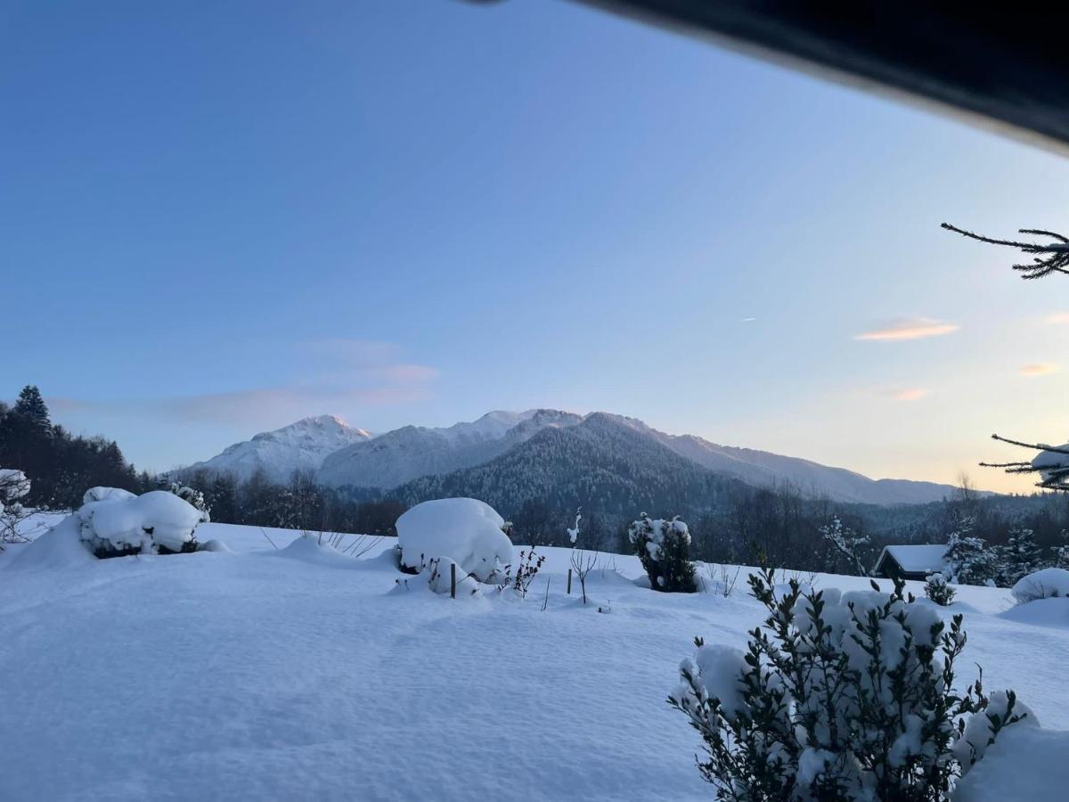 Cabana Vanatorului Risnov Bagian luar foto