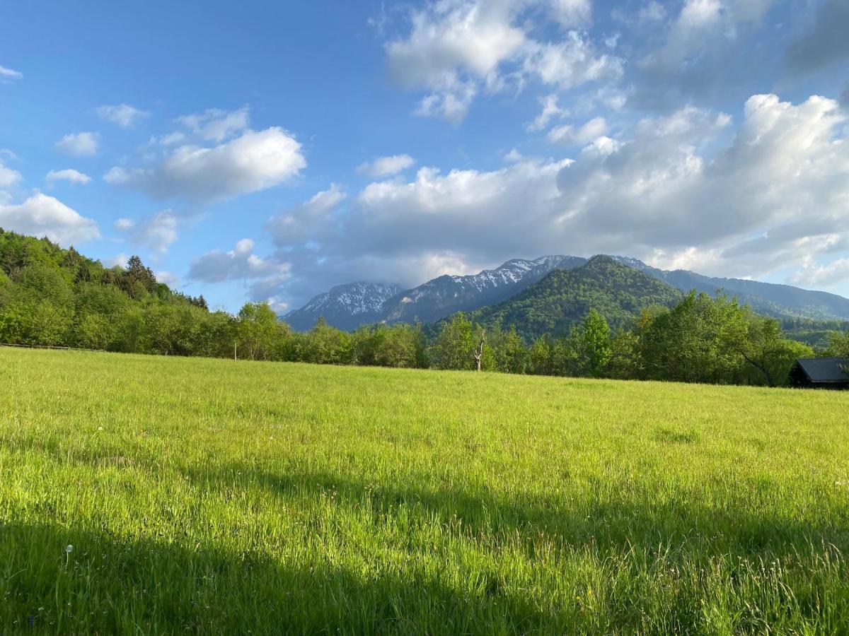 Cabana Vanatorului Risnov Bagian luar foto