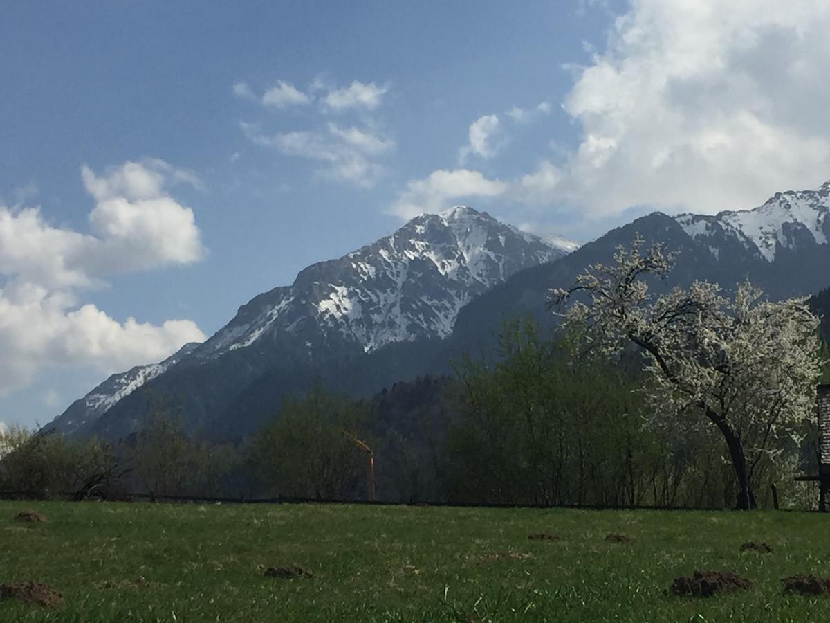 Cabana Vanatorului Risnov Bagian luar foto