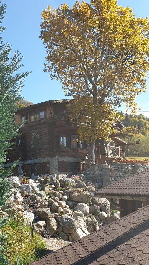 Cabana Vanatorului Risnov Bagian luar foto