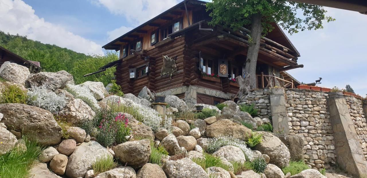 Cabana Vanatorului Risnov Bagian luar foto